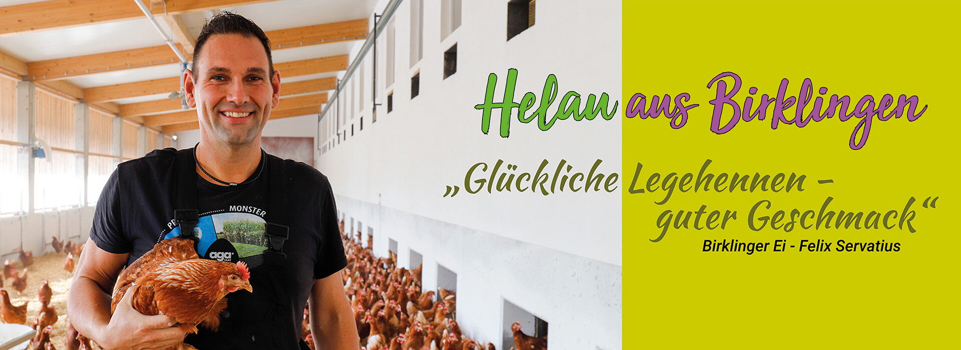 Felix Servatius mitten unter unseren Legehennen - Willkommen bei Familie Servatius - Birklinger Ei  (©Bild 2024 R.Schober)