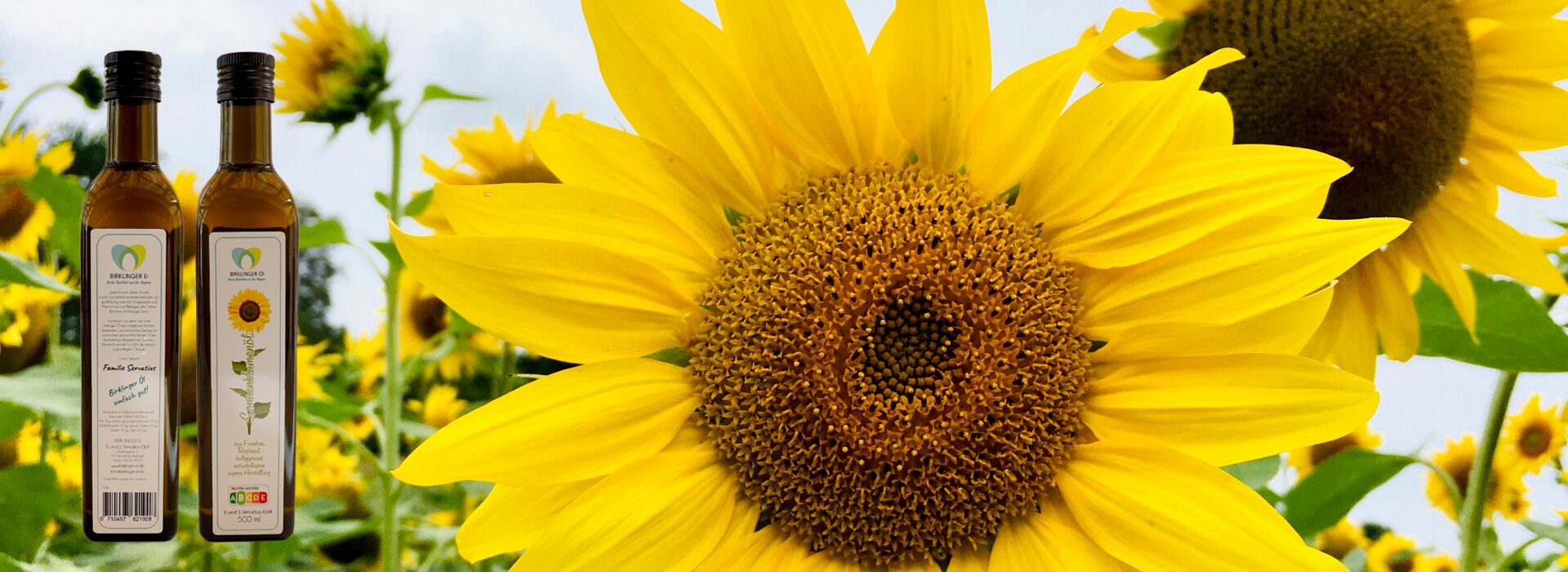 NEU - Jetzt bekommt ihr auch BIRKLINGER Öl bei uns - Sonnenblumenöl aus eigener Herstellung (©Bild 2024 R.Schober)